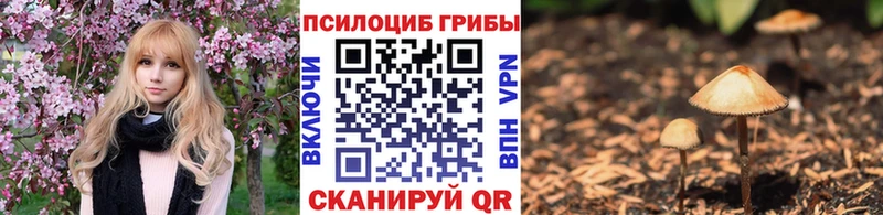 Псилоцибиновые грибы GOLDEN TEACHER  Купить  Сосновый Бор 